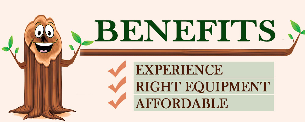 Brothers Tree Demolitions Perris Tree Services Tree grinding and removal_3