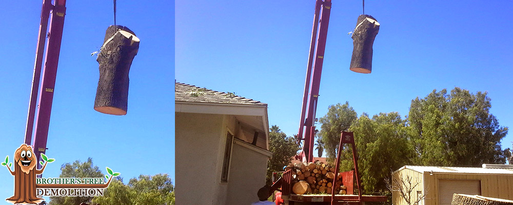 Fontana Commercial Property Landscape Maintenance