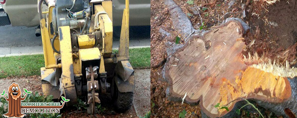 Fontana Commercial Property Landscape Maintenance