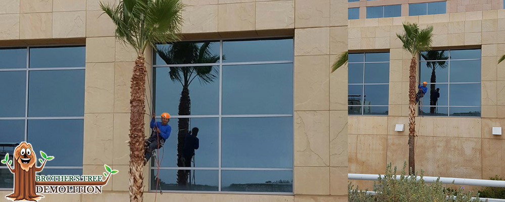 Fontana Commercial Property Landscape Maintenance